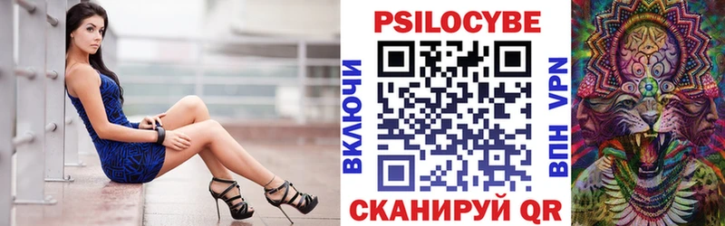 Купить где  Пыть-Ях  Галлюциногенные грибы Psilocybine cubensis 